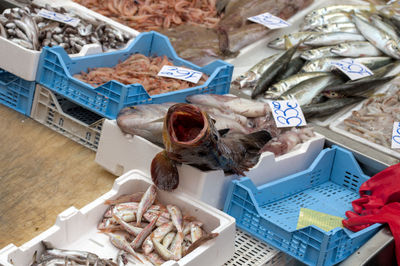 Fish market 