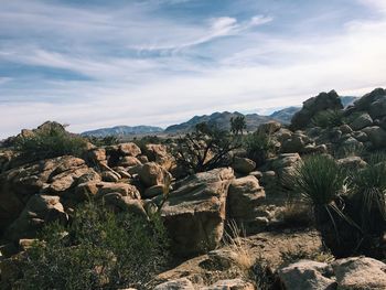 Panoramic view of landscape against sky