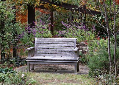 Empty bench in park