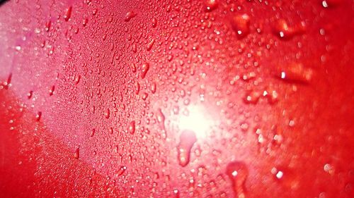 Rain drops on white background