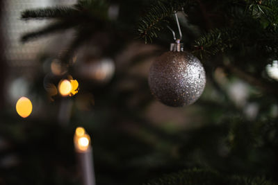 Close-up of christmas decoration hanging on tree