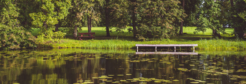 Scenic view of lake in forest