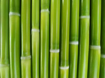 Full frame shot of green vegetables for sale