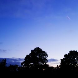 Silhouette of trees against sky