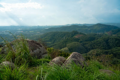 Scenic view of landscape against sky
