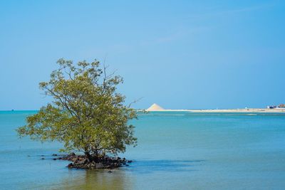 Scenic view of sea against clear blue sky