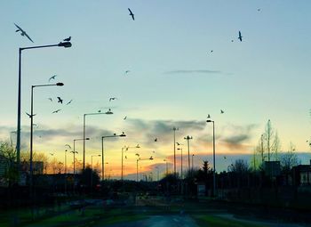 Silhouette birds flying against sky during sunset