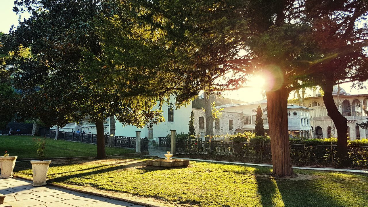 tree, architecture, built structure, building exterior, sunlight, growth, no people, city, outdoors, day, green color, nature, shadow, skyscraper, scenics, sky, grass, modern, cityscape, beauty in nature