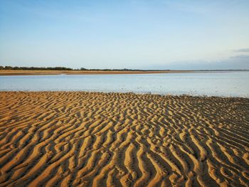 Scenic view of beach