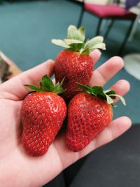Cropped hand of person holding strawberries