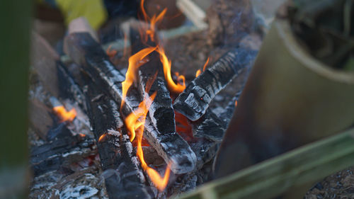 Close-up of fire on log