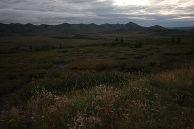 Scenic view of field against sky during sunset