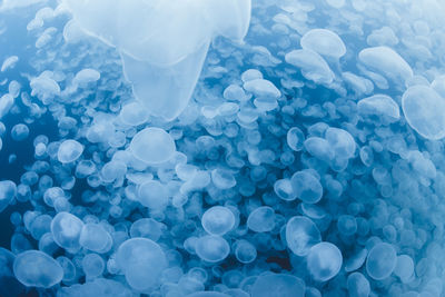 Full frame shot of water