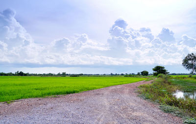 Scenic view of landscape against sky