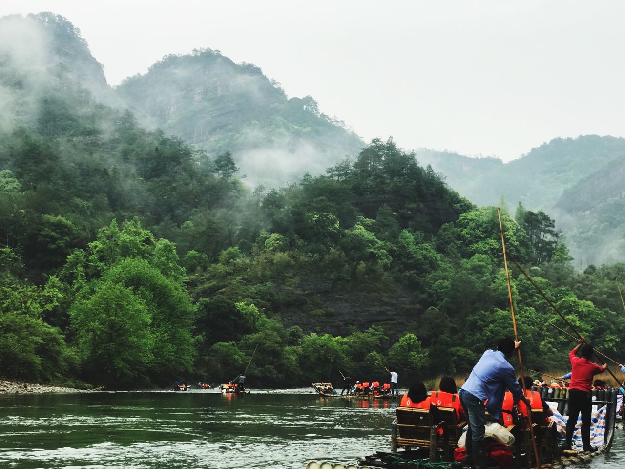 tree, group of people, real people, plant, water, men, nature, people, leisure activity, day, mountain, lifestyles, crowd, sky, beauty in nature, land, growth, forest, outdoors