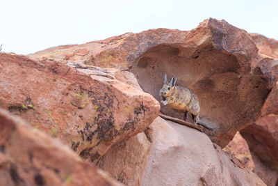 View of a rock formation