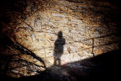 Shadow of person on rock