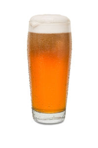 Close-up of beer glass against white background