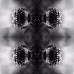 Digital composite image of flowers