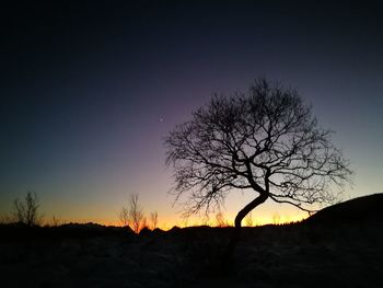 Silhouette bare tree against clear sky at sunset