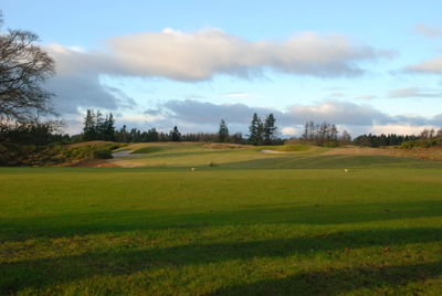 Scenic view of field against sky