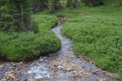 Scenic view of landscape