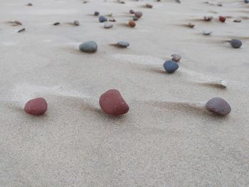 High angle view of stones on sand