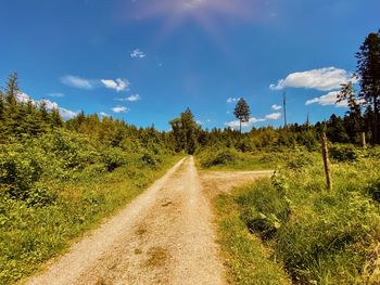Dirt road amidst plants and trees against sky