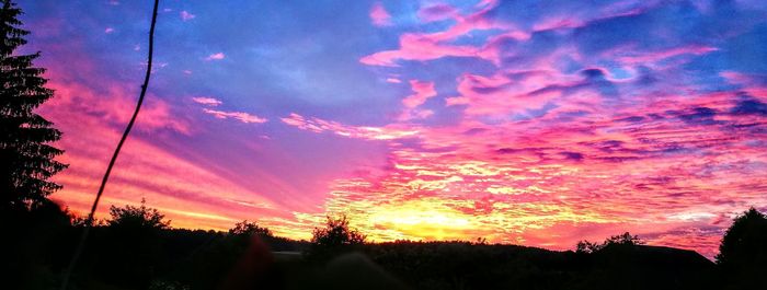 Silhouette trees against dramatic sky during sunset