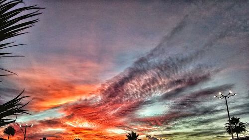 Scenic view of tree against sky