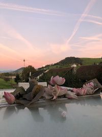 Scenic view of pink and lake against sky during sunset