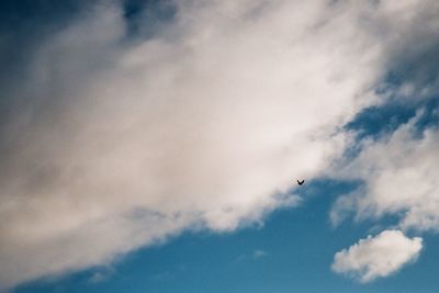 Low angle view of eagle flying in sky