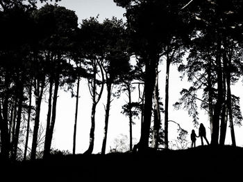 Silhouette of trees on field against clear sky