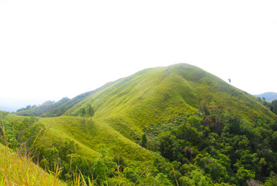 Scenic view of green landscape against clear sky