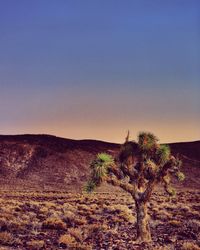 Scenic view of desert against clear sky