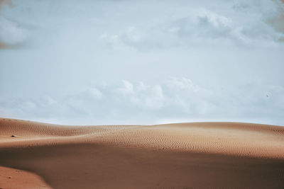 Scenic view of desert