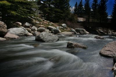 Stream flowing through forest