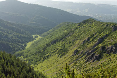 Scenic view of green landscape