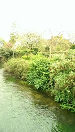 Scenic view of river against clear sky