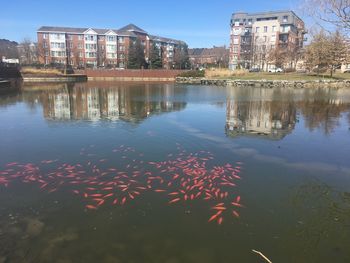 Reflection of buildings in lake against sky in city