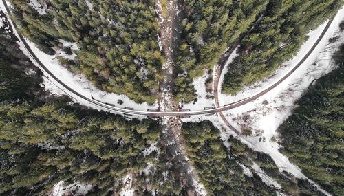 High angle view of road amidst trees