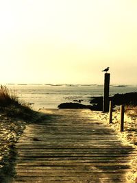 Pier on sea against clear sky