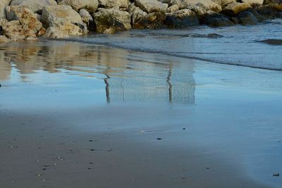 Reflection of trees in water