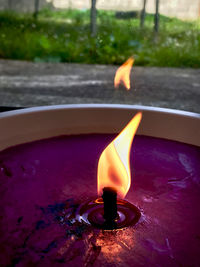 Close-up of black tea light