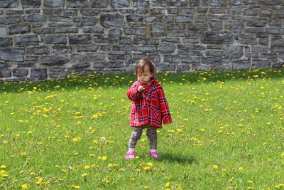 Full length of girl holding flower while standing on grass