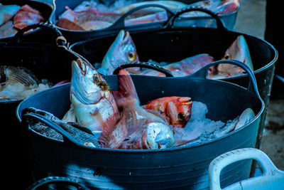 Close-up of fish for sale at market