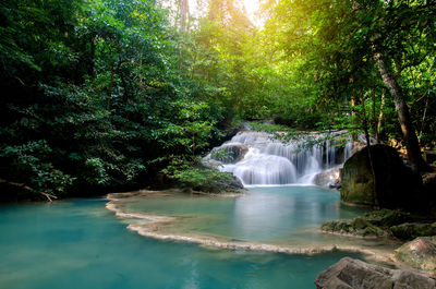 Scenic view of waterfall in forest