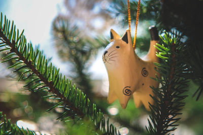 Close-up of christmas tree with plants