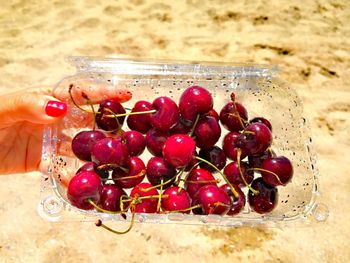 Close-up of hand holding cherries