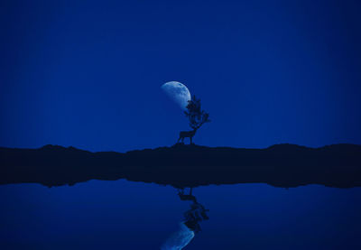 Reflection of deer on hill in lake at night